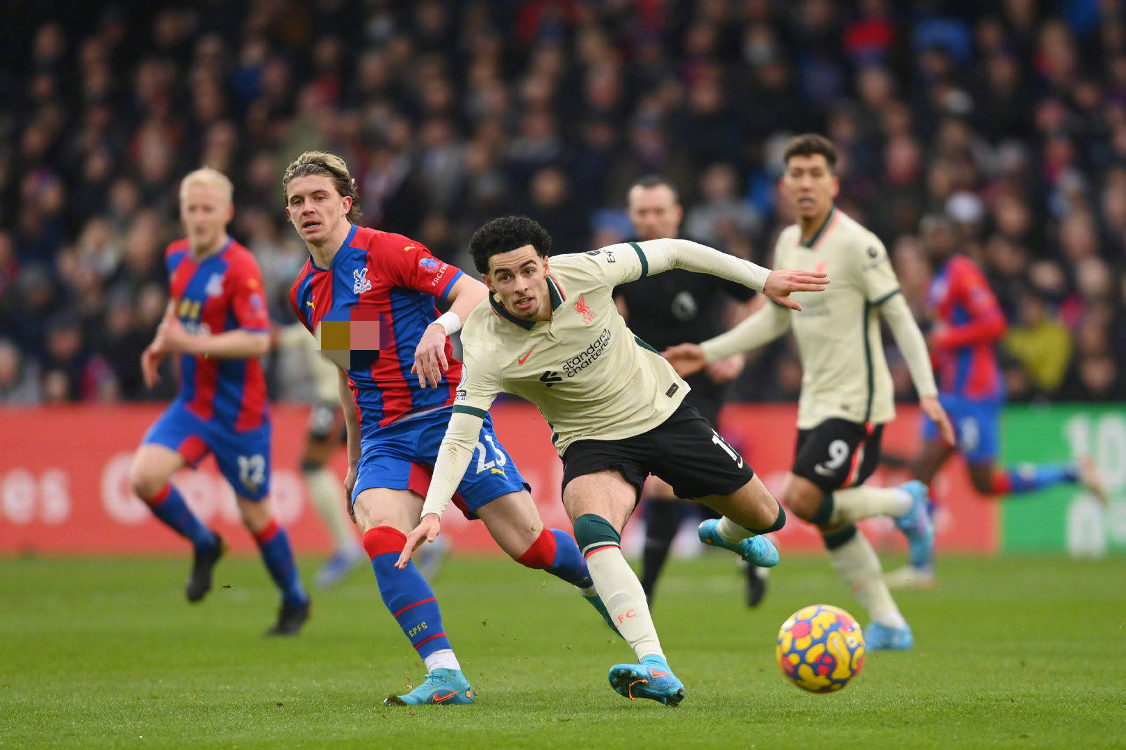 冰雪运动的 冰雪运动的