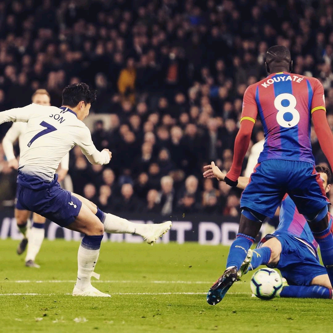 仅限制了对 仅限制了对